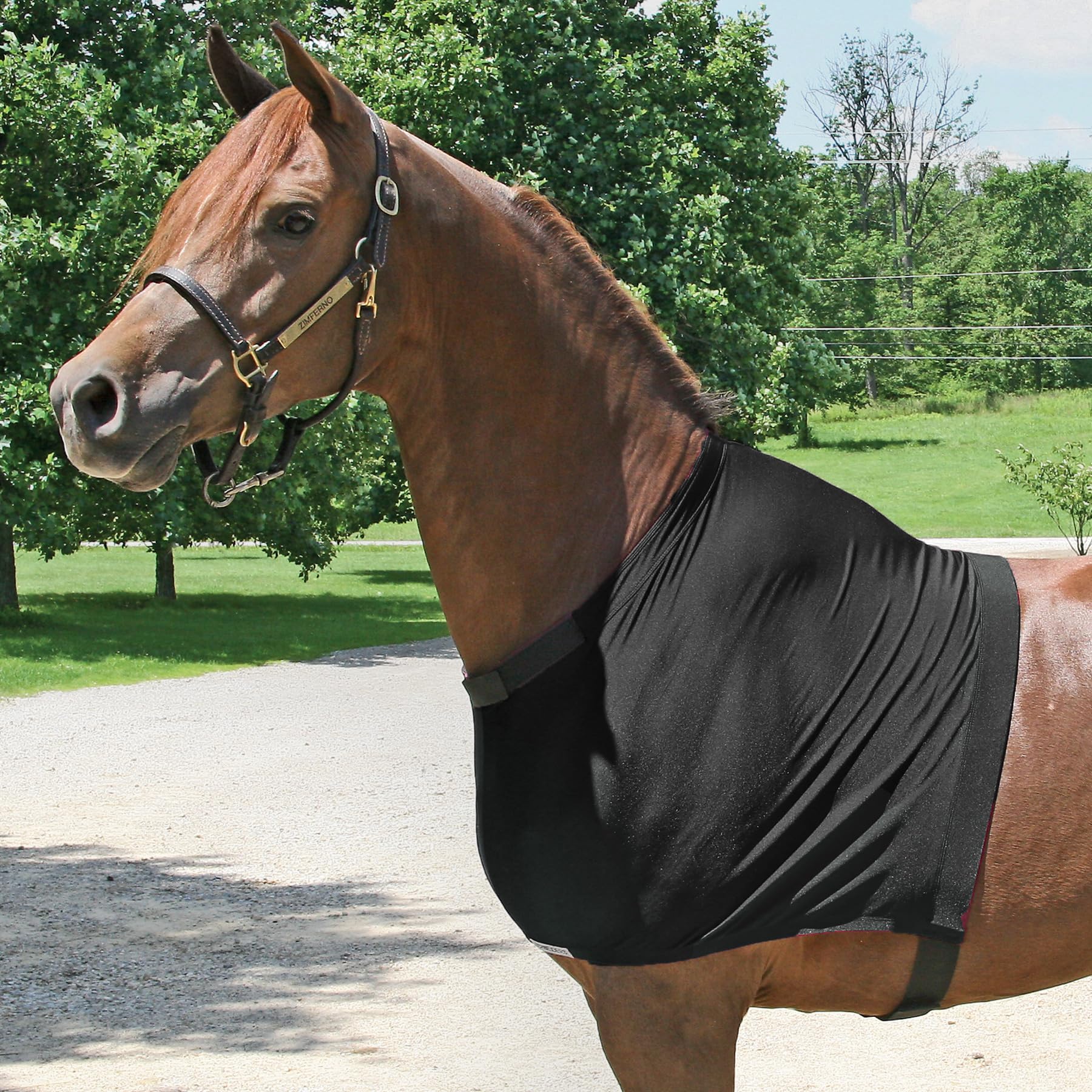 UltraFlex Horse Sleazy Slickers |Protection Horse Slinky | Horse Sleazy Dirt & Dust Defense | Sleezy for Horses Needs | Pull-On